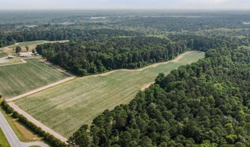 Photo #15 of 1416 NC 45 S., Windsor, NC 148.0 acres