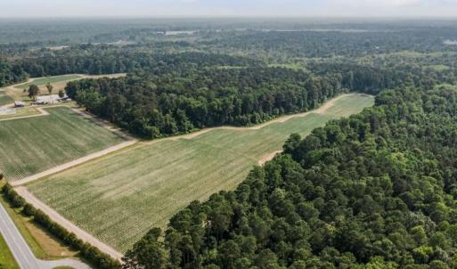 Photo #15 of SOLD property in 1416 NC 45 S., Windsor, NC 148.0 acres