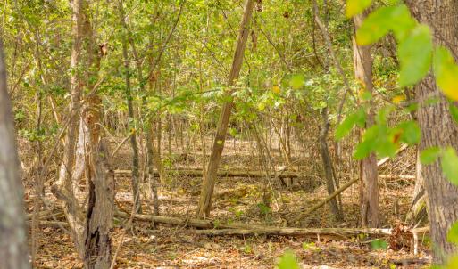 Photo #18 of Off Pony Farm Drive, Siler City , NC 8.1 acres