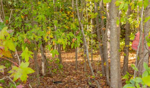 Photo #19 of Off Pony Farm Drive, Siler City , NC 8.1 acres
