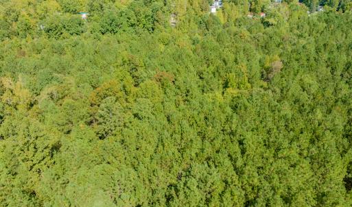 Photo #5 of Off Pony Farm Drive, Siler City , NC 8.1 acres