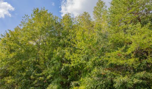 Photo #21 of Off Pony Farm Drive, Siler City , NC 8.1 acres