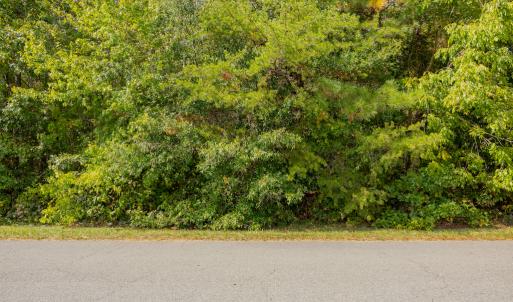 Photo #24 of Off Pony Farm Drive, Siler City , NC 8.1 acres