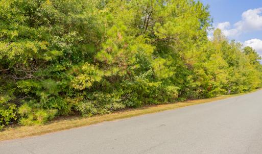 Photo #26 of Off Pony Farm Drive, Siler City , NC 8.1 acres