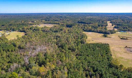 Photo #9 of Off Millie-Christine Road, Whiteville , NC 9.3 acres