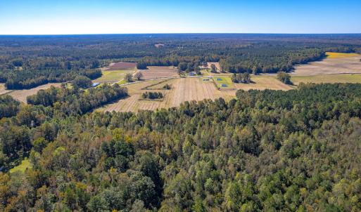 Photo #11 of Off Millie-Christine Road, Whiteville , NC 9.3 acres