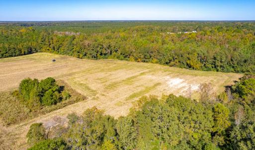 Photo #17 of Off Millie-Christine Road, Whiteville , NC 9.3 acres
