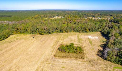 Photo #18 of Off Millie-Christine Road, Whiteville , NC 9.3 acres