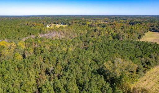 Photo #20 of Off Millie-Christine Road, Whiteville , NC 9.3 acres