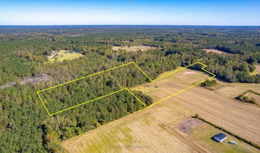 Photo #6 of SOLD property in Off Millie-Christine Road, Whiteville, NC 9.3 acres