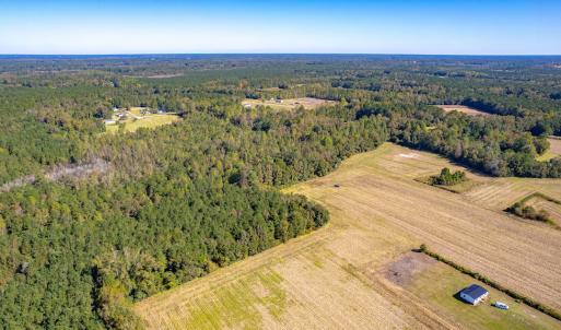 Photo #7 of Off Millie-Christine Road, Whiteville , NC 9.3 acres