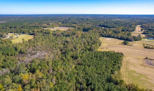 Photo #8 of Off Millie-Christine Road, Whiteville , NC 9.3 acres
