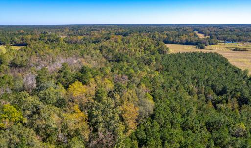 Photo #21 of Off Millie-Christine Road, Whiteville , NC 9.3 acres