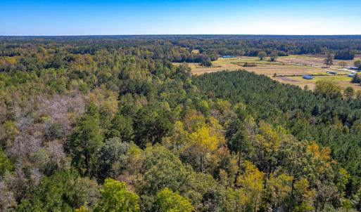 Photo #22 of Off Millie-Christine Road, Whiteville , NC 9.3 acres