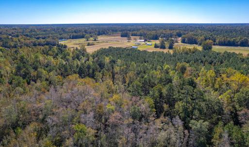 Photo #23 of Off Millie-Christine Road, Whiteville , NC 9.3 acres