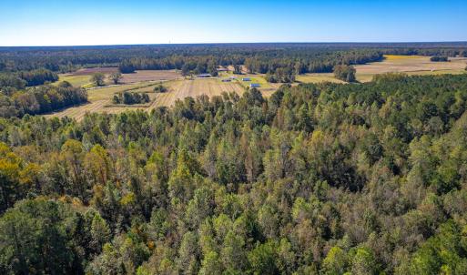 Photo #24 of Off Millie-Christine Road, Whiteville , NC 9.3 acres