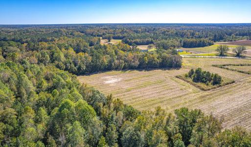Photo #25 of Off Millie-Christine Road, Whiteville , NC 9.3 acres