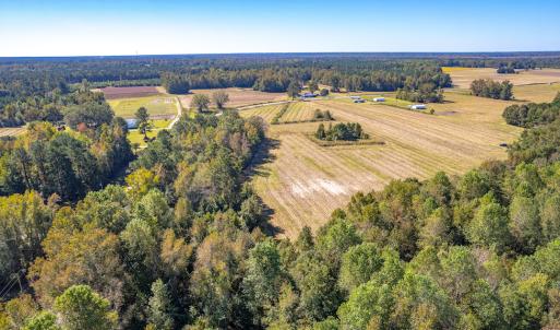 Photo #26 of Off Millie-Christine Road, Whiteville , NC 9.3 acres