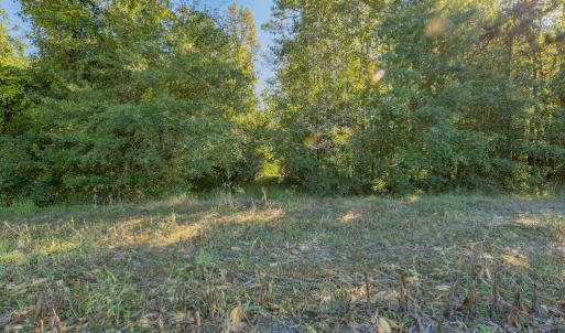 Photo #27 of Off Millie-Christine Road, Whiteville , NC 9.3 acres