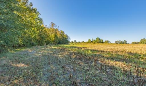 Photo #28 of Off Millie-Christine Road, Whiteville , NC 9.3 acres