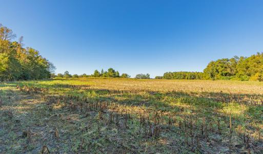 Photo #29 of Off Millie-Christine Road, Whiteville , NC 9.3 acres