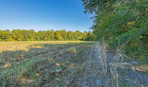 Photo #30 of Off Millie-Christine Road, Whiteville , NC 9.3 acres