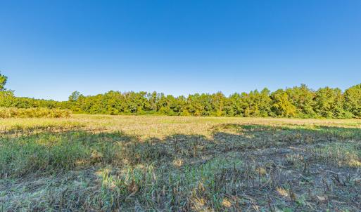 Photo #31 of Off Millie-Christine Road, Whiteville , NC 9.3 acres