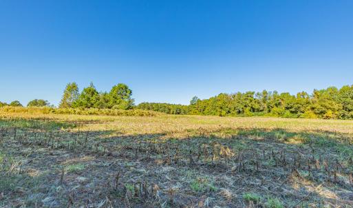 Photo #32 of Off Millie-Christine Road, Whiteville , NC 9.3 acres