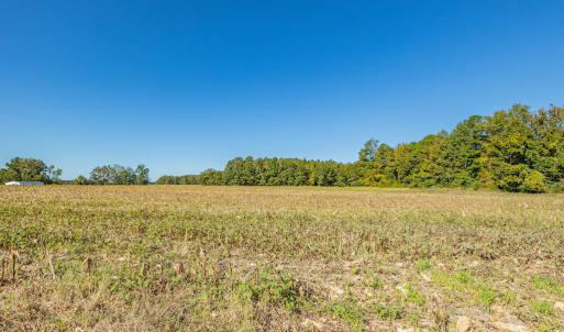 Photo #33 of Off Millie-Christine Road, Whiteville , NC 9.3 acres