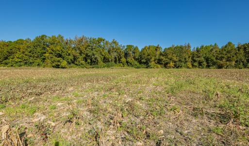 Photo #34 of Off Millie-Christine Road, Whiteville , NC 9.3 acres