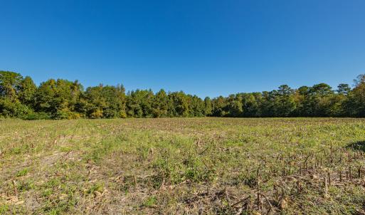 Photo #35 of Off Millie-Christine Road, Whiteville , NC 9.3 acres