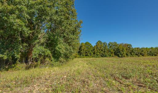 Photo #36 of Off Millie-Christine Road, Whiteville , NC 9.3 acres