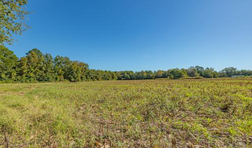 Photo #37 of Off Millie-Christine Road, Whiteville , NC 9.3 acres