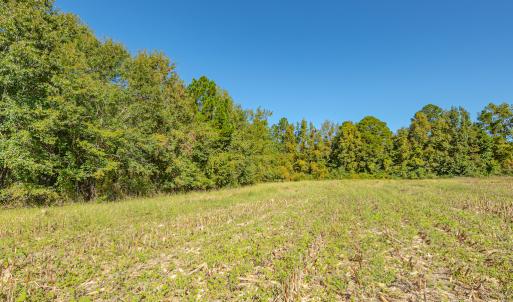 Photo #38 of Off Millie-Christine Road, Whiteville , NC 9.3 acres
