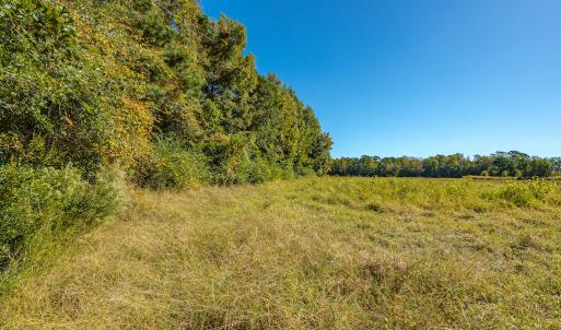 Photo #39 of Off Millie-Christine Road, Whiteville , NC 9.3 acres