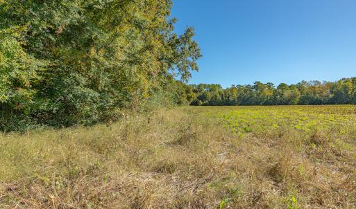 Photo #40 of Off Millie-Christine Road, Whiteville , NC 9.3 acres