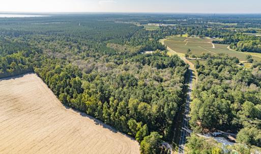 Photo #10 of Off Mote Road, Harrells, NC 15.7 acres