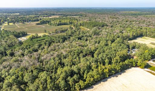 Photo #12 of Off Mote Road, Harrells, NC 15.7 acres