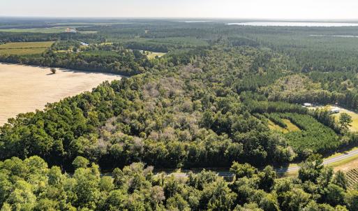 Photo #14 of Off Mote Road, Harrells, NC 15.7 acres
