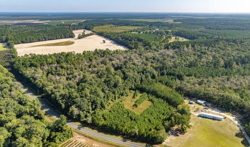 Photo #15 of Off Mote Road, Harrells, NC 15.7 acres