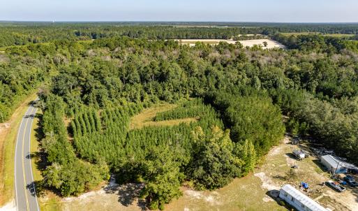 Photo #16 of Off Mote Road, Harrells, NC 15.7 acres