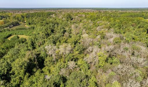 Photo #19 of Off Mote Road, Harrells, NC 15.7 acres