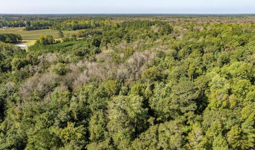 Photo #20 of Off Mote Road, Harrells, NC 15.7 acres
