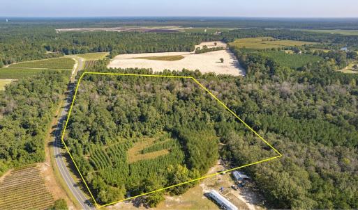 Photo #2 of Off Mote Road, Harrells, NC 15.7 acres