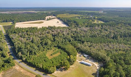 Photo #3 of Off Mote Road, Harrells, NC 15.7 acres