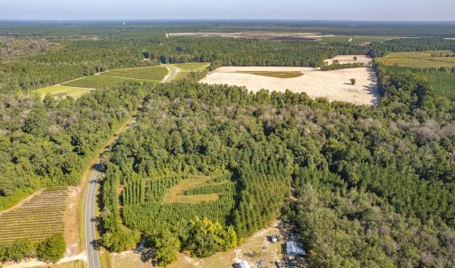 Photo #5 of Off Mote Road, Harrells, NC 15.7 acres