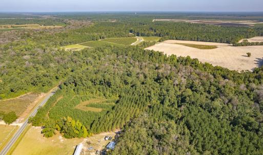 Photo #6 of Off Mote Road, Harrells, NC 15.7 acres