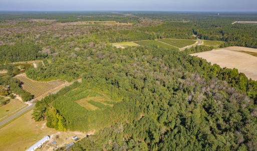 Photo #7 of Off Mote Road, Harrells, NC 15.7 acres