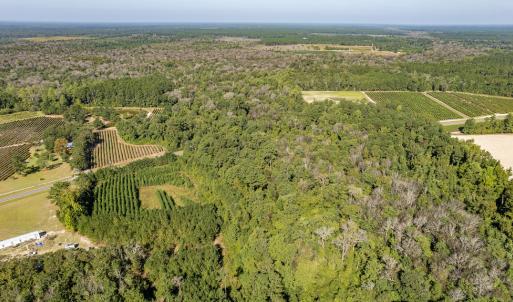 Photo #8 of Off Mote Road, Harrells, NC 15.7 acres