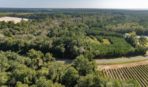 Photo #21 of Off Mote Road, Harrells, NC 15.7 acres